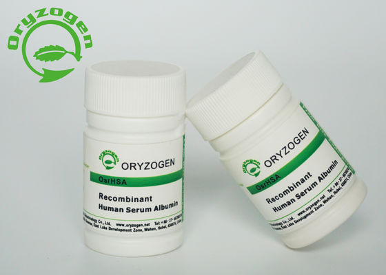 De recombinaison sativa d'Oryza de M/P 65℃ A le poids moléculaire de la pureté 66.5kD de la poudre 99%
