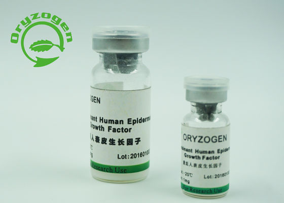 Protéine épidermique humaine de facteur de croissance de grande pureté favorisant la croissance de cellules épidermiques