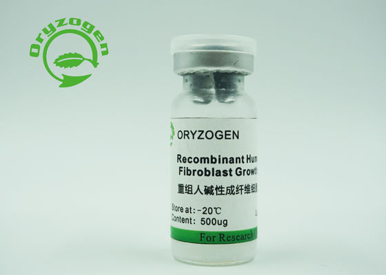 Le grain humain de recombinaison de riz de facteurs de croissance de rbFGF de bFGF de CAS 106096-93-9 a exprimé