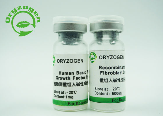 Xeno - composant animal moléculaire du poids 17KD d'ingrédients de facteur de croissance moyen libre de bFGF libre