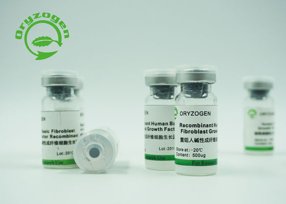 Oryza de recombinaison -20℃ extrait sativa Storaged de facteur de bFGF de protéine
