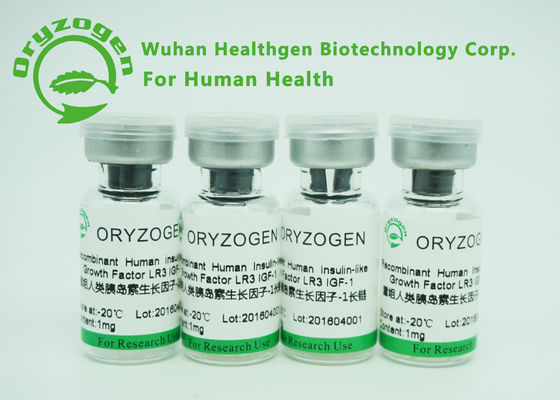 1Ng/longue origine de recombinaison humaine de levure protéine R3 de ml ED50 IGF 1
