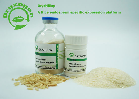 CAS 70024-90-7 de recombinaison A 66.550KD lyophilisé sans stabilisateur ou agent tensio-actif