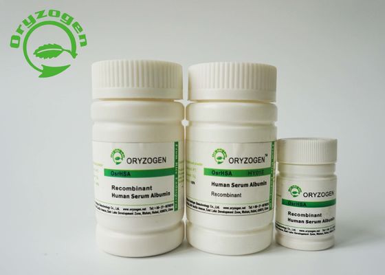 L'albumine sérique de recombinaison de basse endotoxine A la culture cellulaire pour la fabrication/formulation vacciniques