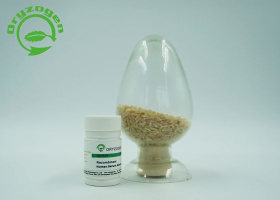De recombinaison sativa d'Oryza a lyophilisé la protéine humaine de masse moléculaire d'albumine de la poudre 66.554KD