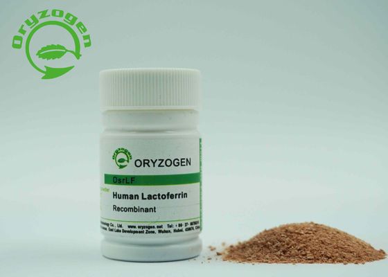 RhLF humain de recombinaison de lactoferrine de Lacto dérivé par usine Ferrin avec de l'endotoxine moins de 20 UE/magnésium
