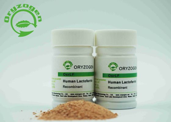 Poudre lyophilisée par lactoferrine humaine de recombinaison