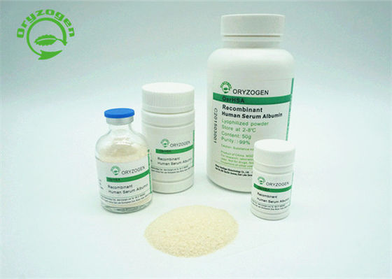 Poudre lyophilisée par albumine humaine de recombinaison HYC002M01 d'Oryzogen