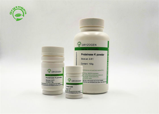 Taille de recombinaison 100g de la protéinase k de grande pureté de catégorie de biologie moléculaire de poudre de la protéinase K