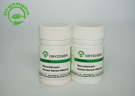 Le riz d'Oryzogen a dérivé l'albumine sérique humaine de recombinaison CAS 70024-90-7
