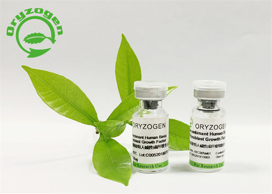 Les ingrédients cosmétiques sativa FGF de base d'Oryza ont lyophilisé la poudre