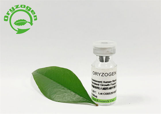 L'Oryza insipide FGF de base sativa de pureté de 95% a lyophilisé la poudre