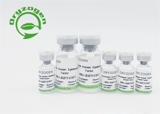 La bioactivité élevée EGF dérivé par usine a lyophilisé la poudre pour la peau remplacent/réparations