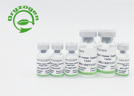 Le facteur de croissance insipide EGF a lyophilisé la poudre pour la promotion de croissance de cellules épidermiques de peau