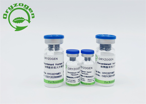 Grain Fibronectin humain de recombinaison sans sérum de riz 86088-83-7