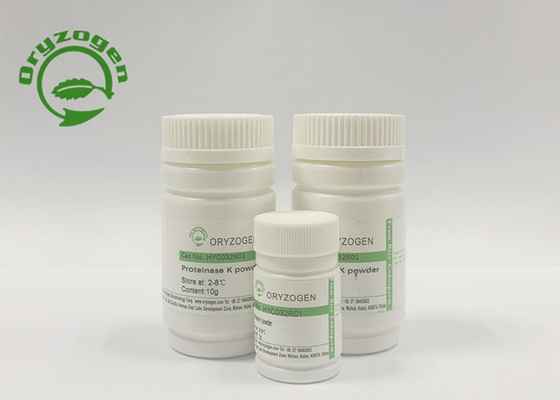 80kg/month protéinase de recombinaison K pour l'extraction d'ARN