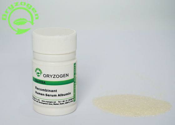 L'albumine humaine de recombinaison de sérum sanguin de culture de cellule souche N'A presque aucune endotoxine