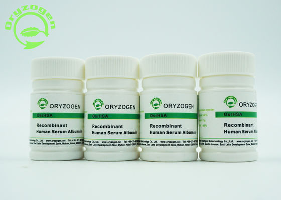 De recombinaison sativa d'Oryza a lyophilisé la protéine humaine de masse moléculaire d'albumine de la poudre 66.554KD