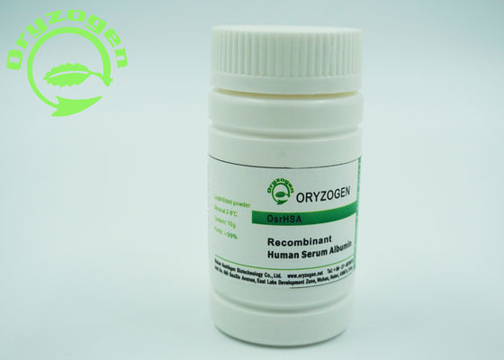 De recombinaison sativa d'Oryza a lyophilisé la protéine humaine de masse moléculaire d'albumine de la poudre 66.554KD