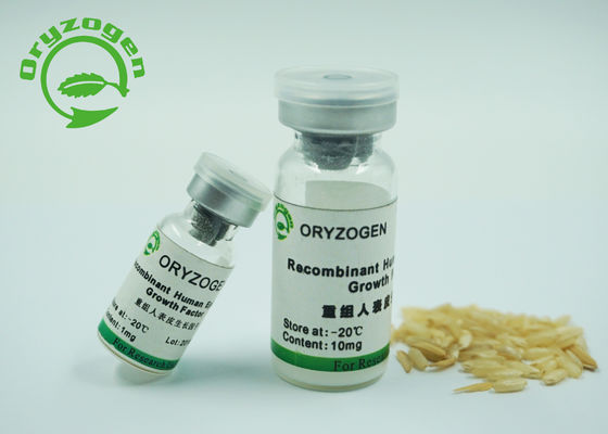 origine épidermique de levure de facteur de croissance de 6.3kD Recombiannt pour la culture cellulaire