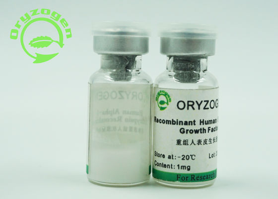 Poudre lyophilisée blanche de facteur de croissance épidermique d'EGF avec de l'endotoxine moins de 1,0 UE/magnésium