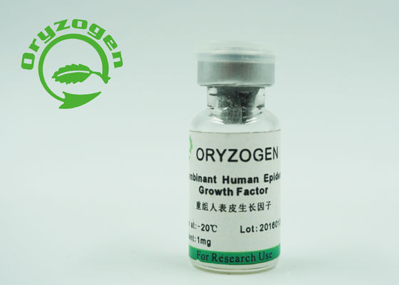 La levure épidermique humaine du facteur de croissance EGF de CAS 62253-63-8 a dérivé non - le composant animal
