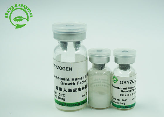 Facteur de croissance épidermique lyophilisé Egf de protéine pour les cosmétiques de peau 1Ng/ml d'ED50