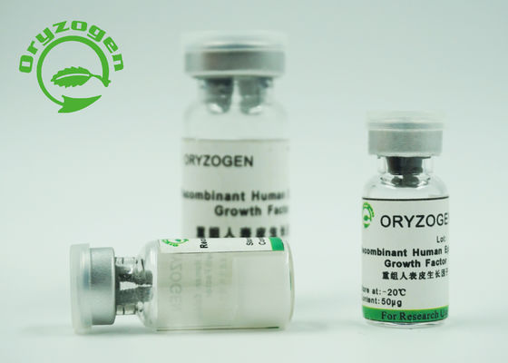 La pureté épidermique de recombinaison humaine du facteur de croissance EFG 98% de bioactivité élevée pour la peau remplacent/réparations