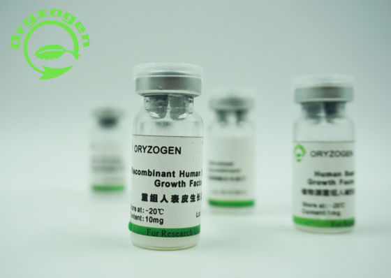 La pureté épidermique humaine de recombinaison SDS-PAGE du facteur de croissance 98% du facteur de croissance EGF de bioactivité élevée a déterminé