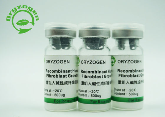De cellule souche de culture de bFGF une plus grande que 95% pureté CAS 106096-93-9 du facteur de croissance
