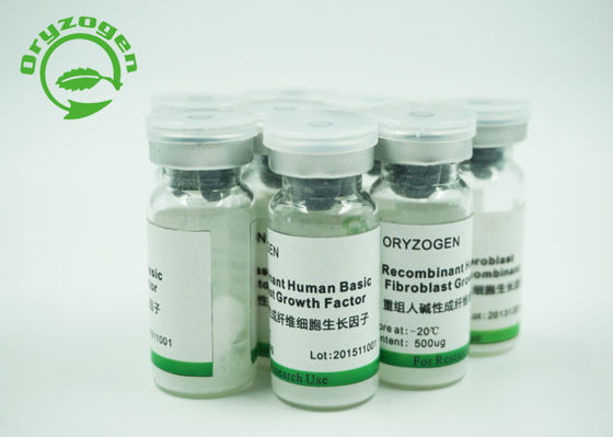 Le bFGF humain de grain de riz a lyophilisé la poudre avec de l'endotoxine moins de 1 UE/ug