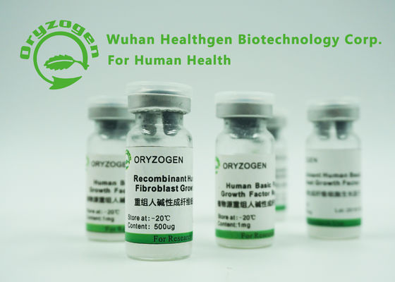 Bas l'usine lyophilisée de poudre de facteur de croissance de fibroblaste d'endotoxine par bFGF de base a dérivé