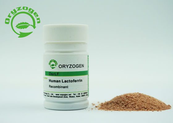 Lactoferrine humaine de recombinaison de la protéine 80KD aucun composant animal pour des cosmétiques