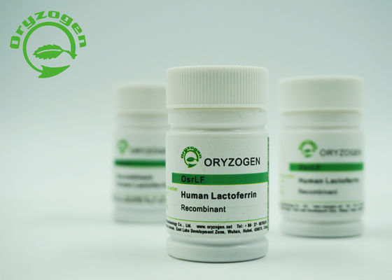 La lactoferrine humaine de recombinaison d'origine de grain de riz biologique recherche des réactifs 146897-68-9