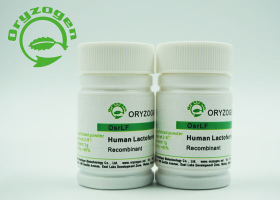La lactoferrine lyophilisée saupoudrent l'usine dérivée avec l'activité antibactérienne augmentant l'immunité