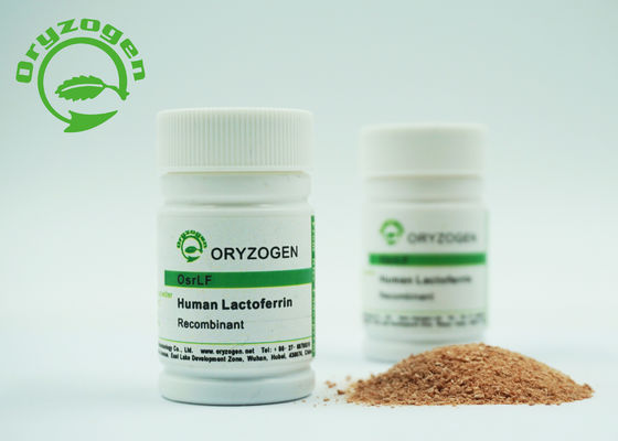 Lyophilisé saupoudrez le bas poids moléculaire de l'endotoxine 80Kd de lactoferrine humaine de recombinaison
