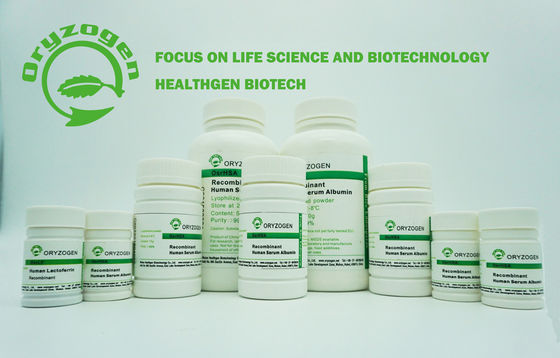 L'albumine humaine de recombinaison d'origine de grain de riz A le poids 66.5KD moléculaire pour le kit diagnostique
