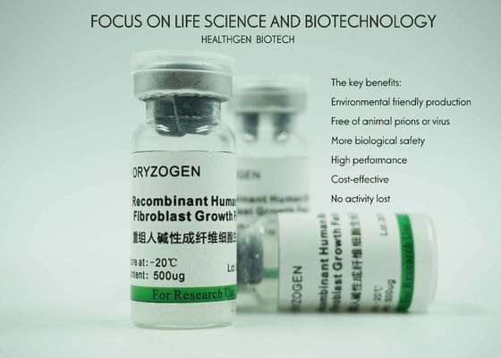 BFGF exprimé spécifique de facteur de croissance de fibroblastes d'endosperme de riz sans tout risque de contaminants