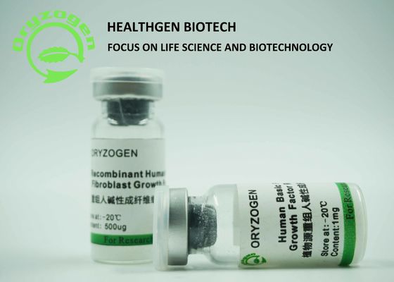 Poids moléculaire de recombinaison du facteur de croissance 17KD de bFGF d'origine de grain de riz