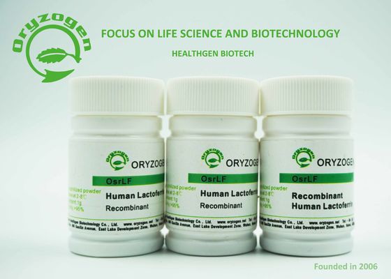 La lactoferrine humaine de recombinaison Russetish de pureté plus considérablement que de 95% a lyophilisé la poudre 80KD