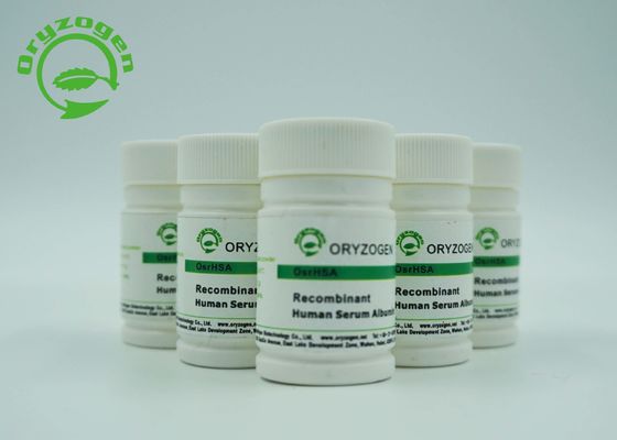 L'albumine humaine de recombinaison de CAS 70024-90-7 A à moins de l'endotoxine 0.125EU/Mg