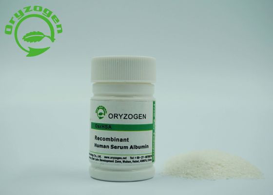 Le grain de riz de recombinaison A le rHSA vaccinique 70024-90-7 d'ingrédient de culture cellulaire de recherches