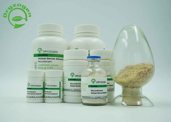 Blanc allumer la poudre lyophilisée beige de recombinaison A L'OIN diplôméee