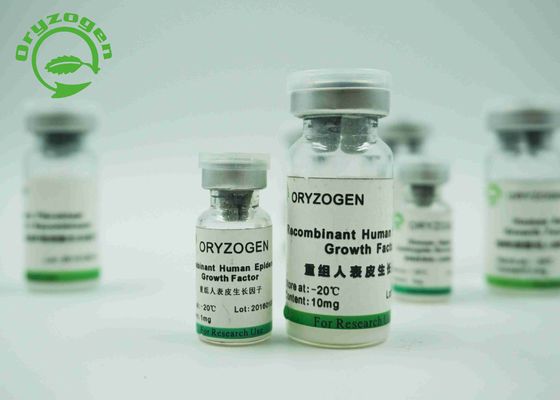 La levure a dérivé le facteur de croissance épidermique de recombinaison 6.3KD EGF humain pour le milieu sans sérum