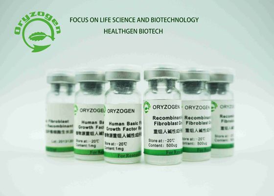 La réparation lyophilisée blanche de facteur de croissance de bFGF de poudre a endommagé les cellules épithéliales 17KD FGF2 humain