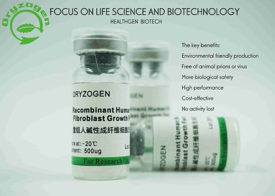 Poids moléculaire de recombinaison du facteur de croissance 17KD de bFGF d'origine de grain de riz