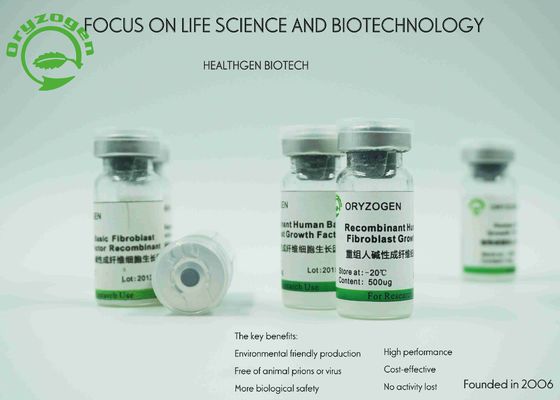 BFGF exprimé spécifique de facteur de croissance de fibroblastes d'endosperme de riz sans tout risque de contaminants