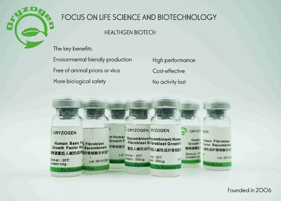 Facteur de croissance du bFGF 17KD dérivé par usine de base pour le milieu sans sérum