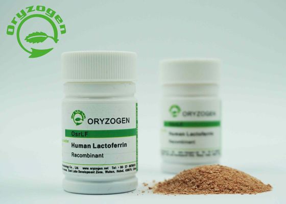 ℃ lâche brun-rougeâtre Storaged de la poudre 2-8 de lactoferrine de recombinaison libre composante animale