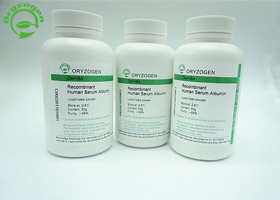 CAS 70024-90-7 de recombinaison A la basse endotoxine pour la culture cellulaire sans sérum
